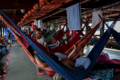 the hammock section